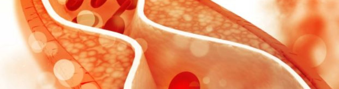 Everything You Need To Know About Cholesterol