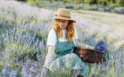 What is Hay Fever and How Can it be Treated?